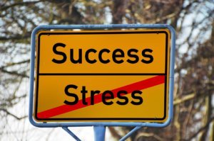 Is there success without stress