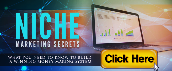 Niche Marketing what you need to understand when choosing a niche